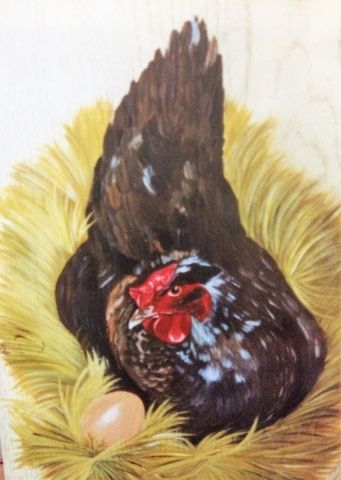 "La petite couveuse"